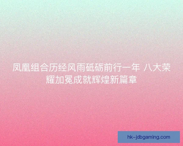 凤凰组合历经风雨砥砺前行一年 八大荣耀加冕成就辉煌新篇章